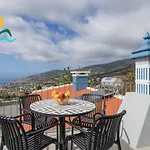 Ourmadeira - Loreto Vila
